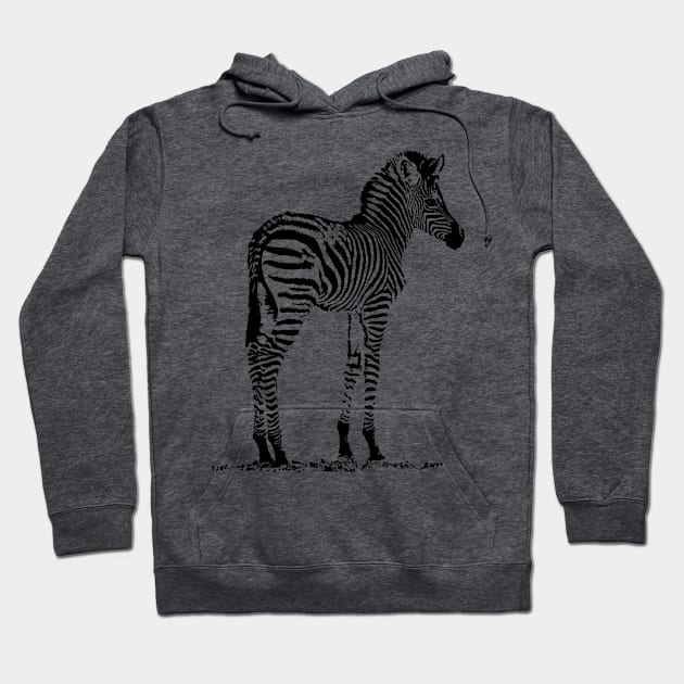 Charming Zebra Foal | African Wildlife Hoodie by scotch